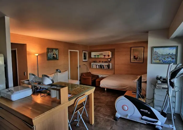 Large Eiffel Tower Lacoste * Paris